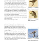 Darwins Evolutionstheorie: Jahrgang 7- 10 (236 MB)