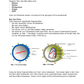 Der "Baby-Bastler" - CRISPR/Cas-Prozess am Menschen (74 MB)