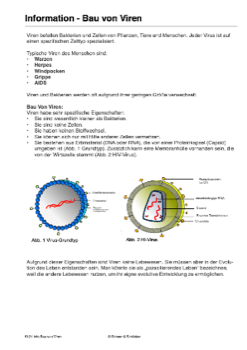 Der "Baby-Bastler" - CRISPR/Cas-Prozess am Menschen (74 MB)