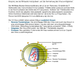 Der "Baby-Bastler" - CRISPR/Cas-Prozess am Menschen (74 MB)