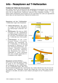 Der "Baby-Bastler" - CRISPR/Cas-Prozess am Menschen (74 MB)