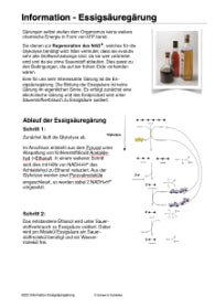Gärung (36 MB)