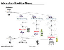 Gärung (36 MB)