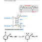 Glykolyse (122 MB)