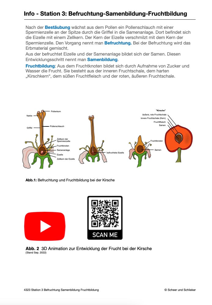 Botanik: Bestäubung und Befruchtung - Stationsarbeit (131 MB)