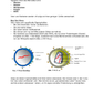 Infektionen - Immunsystem des Menschen (54 MB)