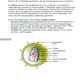 Infektionen - Immunsystem des Menschen (54 MB)