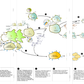 Infektionen - Immunsystem des Menschen (54 MB)