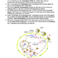 Infektionen - Immunsystem des Menschen (54 MB)
