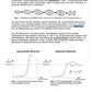 Prokaryoten (Einzellizenz) 77MB