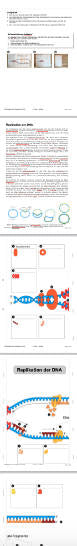 Replikation der DNA