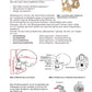 Evolution des Menschen: Jahrgang 7 - 10 (123 MB)