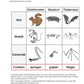 Evolution - komplett: Jahrgang 7 - 10 (600 MB)