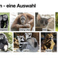 Evolution des Menschen (226 MB)