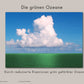 Fotosynthese