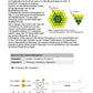 Fotosynthese