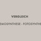 Fotosynthese