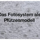 Fotosynthese