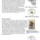 Evolution des Menschen (226 MB)