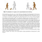 Evolution des Menschen (226 MB)