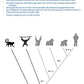 Evolution des Menschen (226 MB)