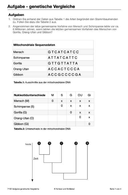 Evolution des Menschen (226 MB)