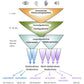 Evolution des Menschen (226 MB)