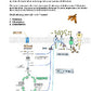 Fotosynthese und Zellatmung - Energiequellen Teil 2 - komplett (Einzellizenz)