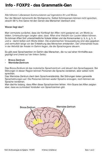Evolution des Menschen (226 MB)