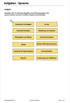Kulturelle Evolution - ökologische Nische des Menschen (64 MB)