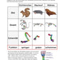 Evolution - komplett: Jahrgang 7 - 10 (600 MB)