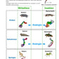 Evolution - komplett: Jahrgang 7 - 10 (600 MB)