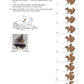 Darwins Evolutionstheorie: Jahrgang 7- 10 (236 MB)