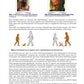 Evolution - komplett: Jahrgang 7 - 10 (600 MB)