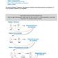 Hormonsystem Jahrgang 7 bis 10 (24 MB)
