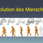 Evolution des Menschen (18 MB) - Einzellizenz