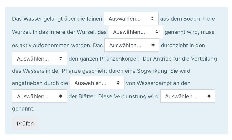 Fragen mit ökolgischem Schwerpunkt (62 Stück) (10,1 MB) (Einzellizenz)