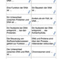 DNA und Chromosomen (4 MB)