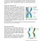 DNA und Chromosomen (4 MB)