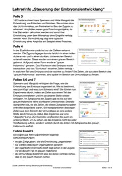Steuerung der Embryonalentwicklung (361 MB)