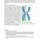 DNA und Chromosomen (4 MB)