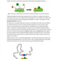 Genregulation (34 MB)