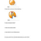 Zellzyklus und Embryonalstadien (156 MB)