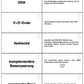 DNA und Chromosomen (4 MB)