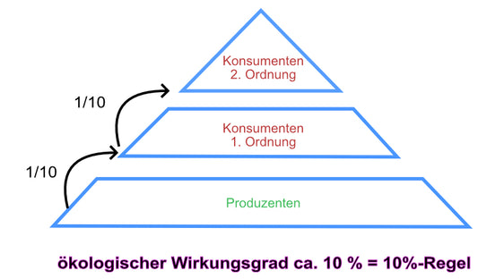 Einfluss des Menschen - Stoffkreisläufe und Energiefluss (33 MB)