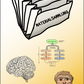 Evolution des Menschen (226 MB)