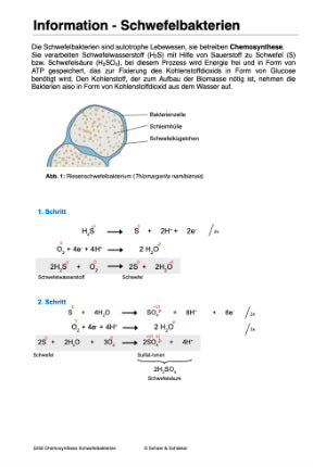 Chemosynthese (188 MB)