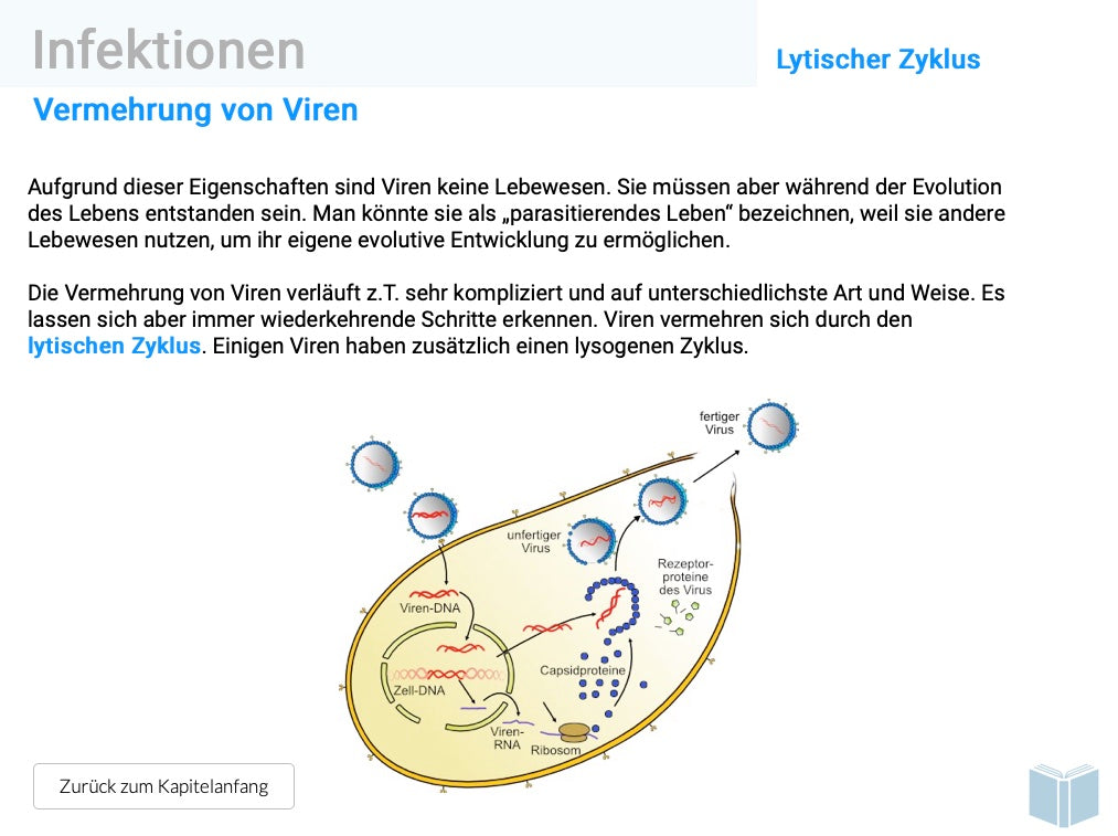 EBook Gesundheit (9,3 MB) - Schullizenz