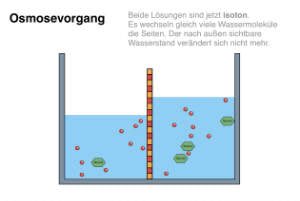 Biomembranen komplett (Einzellizenz)