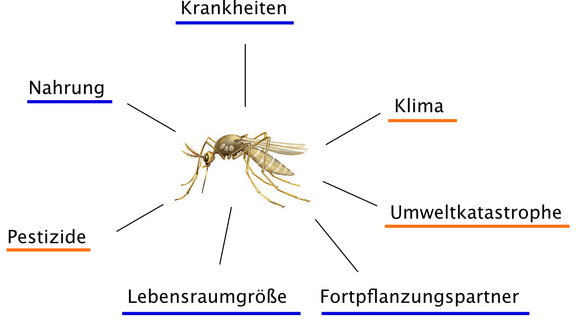 Populationswachstum (Einzelliznez) - 67,7 MB